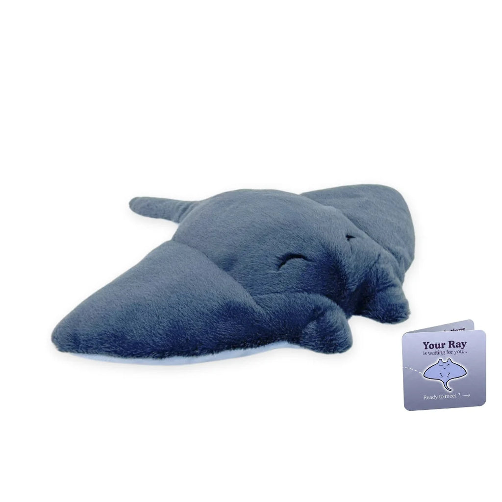 Peluche adozione animale marino — Razza, foto 7