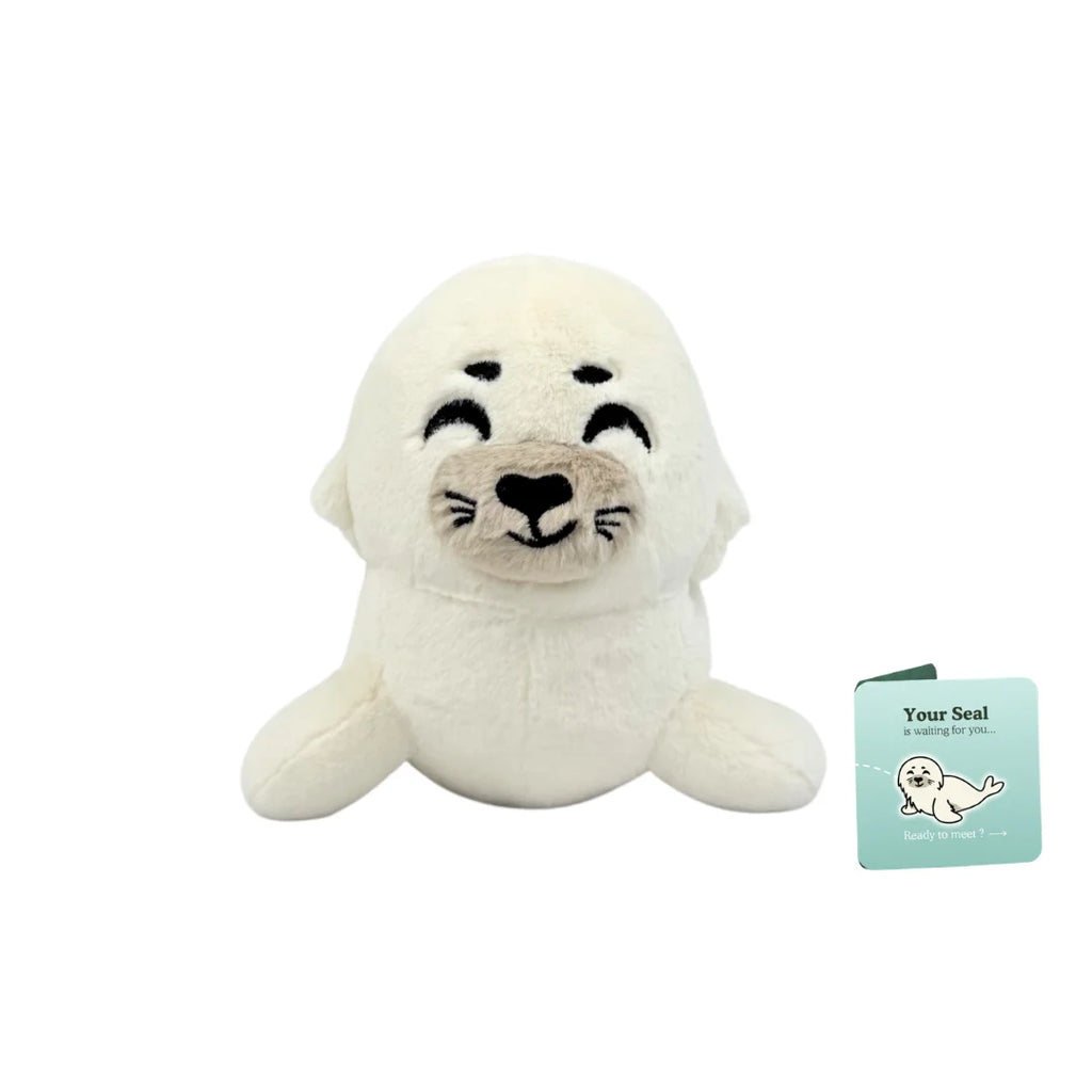 Peluche adozione animale marino — Foca, foto 9