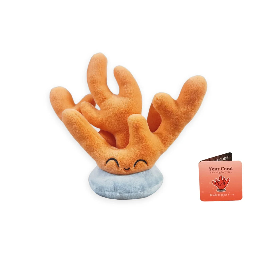 Peluche adozione animale marino — Corallo, foto 15
